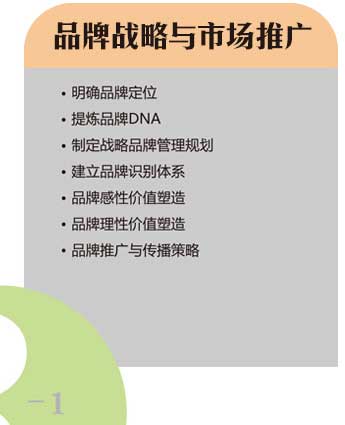 品牌戰(zhàn)略與市場推廣 品牌戰(zhàn)略與市場推廣
